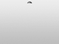 wallyclub.com