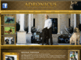 adronicus.com