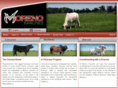 morenoranches.com