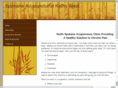 northspokaneacupuncture.com