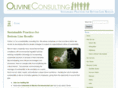 olivineconsulting.com