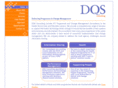 dqsconsulting.com