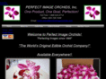 edibleorchids.com