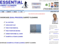 essentialcarpetcare.com