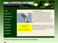 missionbendhouston.com