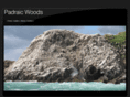 padraicwoods.com
