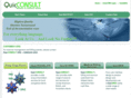 quicconsult.com