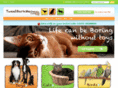 tweetbarkmeow.com