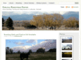 carlisleequestrian.com