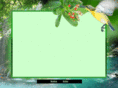 dogcolibri.com