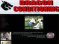 dragonconditioning.com