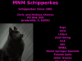 mnmschipperkes.com
