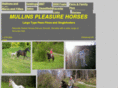 mullinspleasurehorses.com