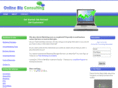 onlinebizconsulting.com