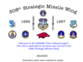 308smw.com