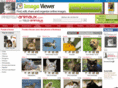 fonds-ecrans-animaux.com