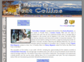 fort-collins-co-relocation.com