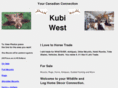 kubiwest.com