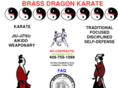 brassdragonkarate.com