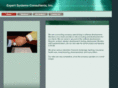 expsysconsult.com