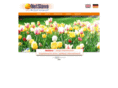 netslave.pl