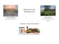 zoesternberg.com