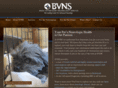 bvns.net