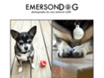 emersondog.com