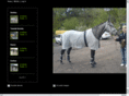 hofdressage.com