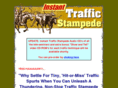 instanttrafficstampede.com