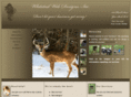 whitetailwebdesigns.com