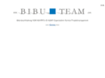 bibu-team.info