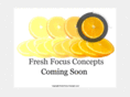 freshfocusconcepts.com
