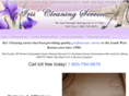 iriscleaningservice.com