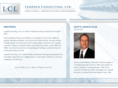 leopoldconsulting.com