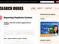 searchdudes.com