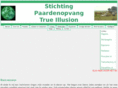 stichtingtrueillusion.com