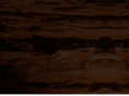 thesublimelight.com