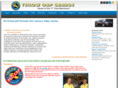 porschetuneup.com