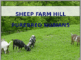 sheep-farm-hill.com