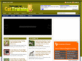 cattrainingeasy.com