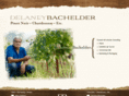 delaney-bachelder.com