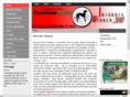expoinsubria.com