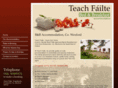 teachfailte.com