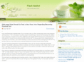 yourflashwebsite.info