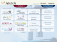 akinainc.com