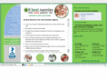 allbestnannies.com