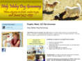holymoleydoggrooming.com