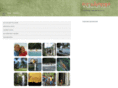 ecoadventurevacation.com