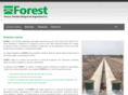 forestingenieria.com